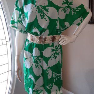 NEW DIRECTIONS Green/White DRESS Size 8 Lined